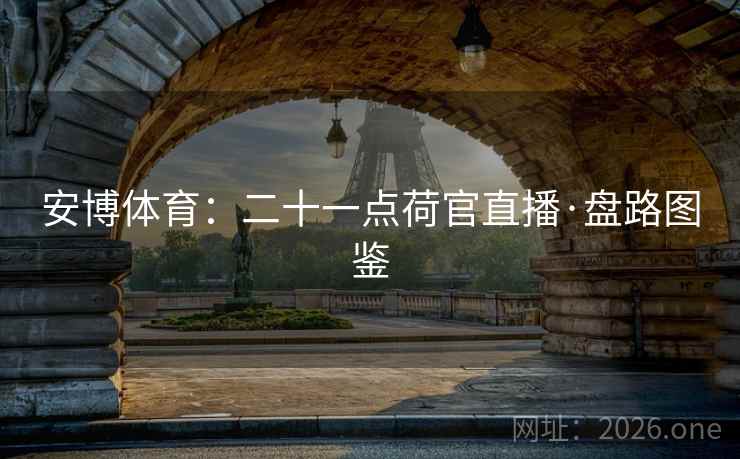 安博体育：二十一点荷官直播·盘路图鉴