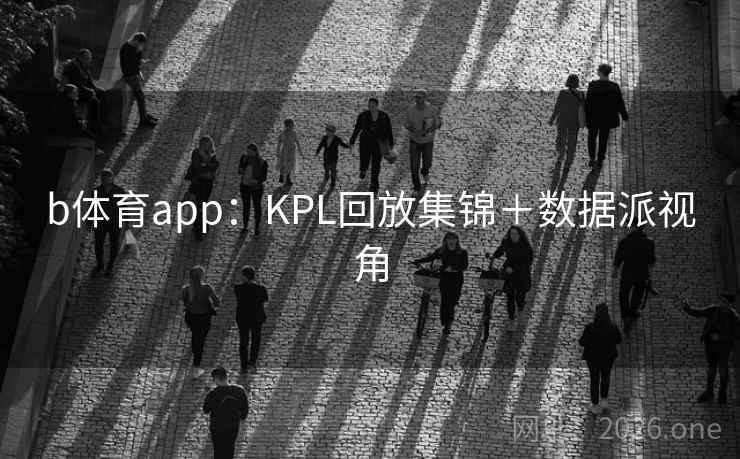 b体育app：KPL回放集锦＋数据派视角