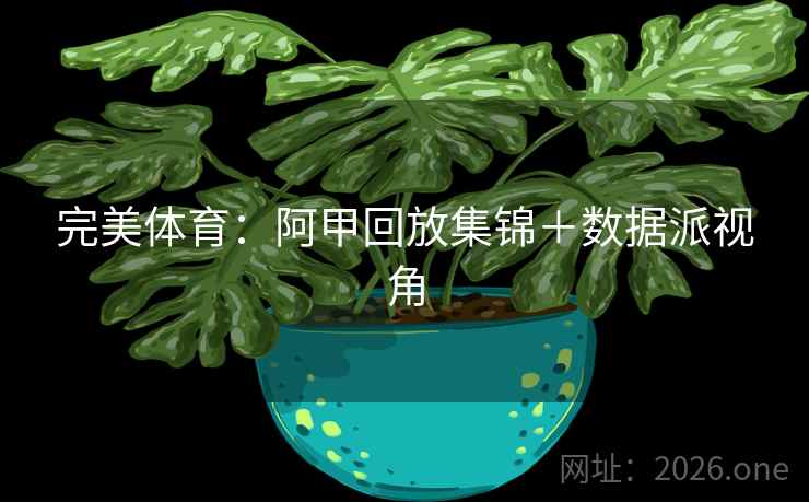完美体育:阿甲回放集锦+数据派视角 第2张 完美体育:阿甲回放集锦+数据派视角 第2张