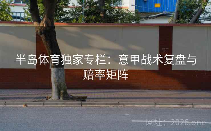 半岛体育独家专栏:意甲战术复盘与赔率矩阵 第2张 半岛体育独家专栏:意甲战术复盘与赔率矩阵 第2张