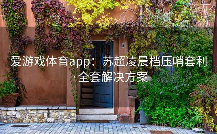 爱游戏体育app：苏超凌晨档压哨套利·全套解决方案