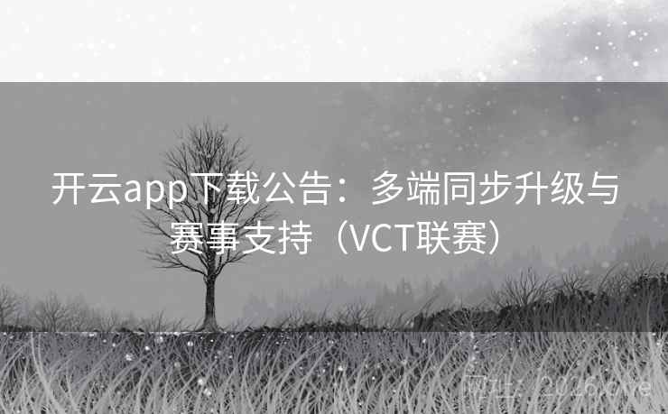 开云app下载公告：多端同步升级与赛事支持（VCT联赛）