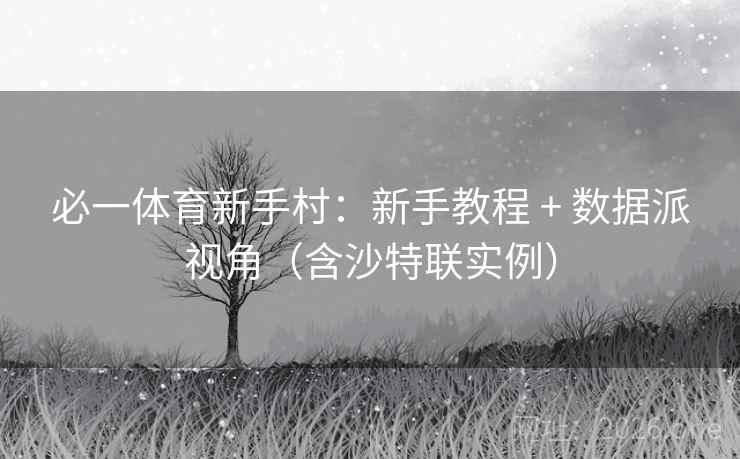 必一体育新手村：新手教程 + 数据派视角（含沙特联实例）