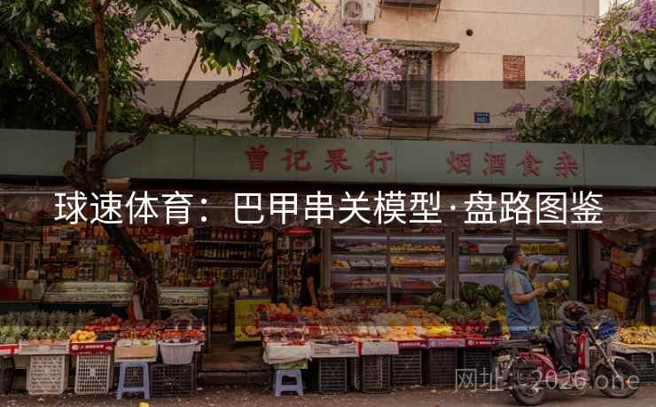 球速体育：巴甲串关模型·盘路图鉴  第2张